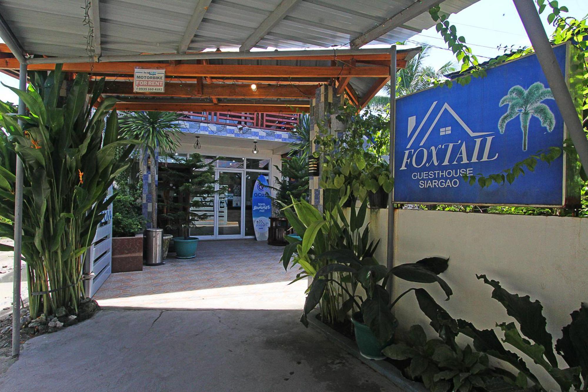 Foxtail Siargao Island Guest house